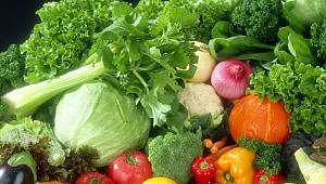 Gıdada KDV kaldırılsın