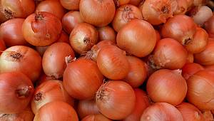 Kuru soğanda sıfır gümrük vergisinin süresi uzatıldı