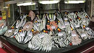 Sezon bitti, fiyatlar yükseldi!