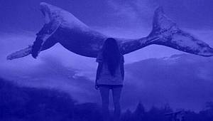 Tüketiciler dikkat! Mavi balina yine gündemde