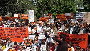 #koprugecismagdurları: "Düzeltiliyor" ne demek?