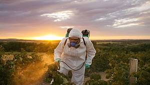 95 kurum sağlıklı bir gelecek için “Zehirsiz Kampanya” başlattı: Tüm Canlılar için “Zehirsiz Sofralar”