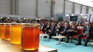 En iyi bal seçildiler!