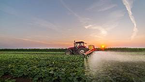 Sorun açlık değil açgözlülük!