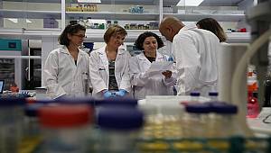 Kanserle Mücadelede Metastazdan Sorumlu Proteinler Yakalandı