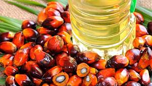 Palm yağına ilişkin kurul raporu, kamuoyu ile paylaşılmalıdır