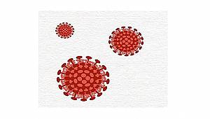 COVID-19 Salgınına Karşı Türkiye’nin direncini artırmak...