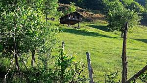 Rize'nin yaylaları!