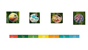 Pandemi sonrasında sağlıklı, besleyici, güvenilir, uygun fiyatlı ve yerel gıdaya ihtiyaç artacak