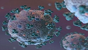 ŞİRKETLER için geliştirildi: COVID-19 sürecinde şirketlere insan hakları uygulamalarında yol gösterecek ‘Hızlı Öz Değerlendirme’ aracı...