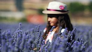 Afşin Lavantası Dünyaya açılacak