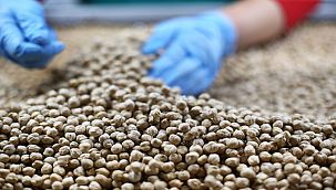 Dışa bağımlı olmayan bir üretim için yerli ürün tüketimi şart