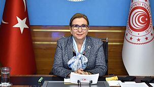 Bakan Pekcan: “Her fırsatta stratejik hedefimizin Avrupa Birliği’ne tam üyelik olduğunun altını çiziyoruz. ”