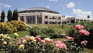 Arama Motorlarının tarafsızlığı masaya yatırıldı