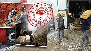 Üreticilerimizden patates ve kuru soğan alımına başlanmıştır