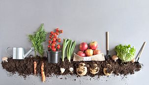 Türkiye'de organik kelimesi suistimal ediliyor