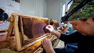 Balparmak ve İstanbul İli Arı Yetiştiricileri Birliği İstanbullu Arıcıların Yanında