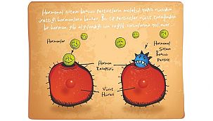 Belediyelerin İşbirliğiyle Zehirsiz Kentlere Doğru