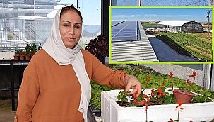 Diyarbakırlı Ev Hanımı Yıldız Uygun: Kurduğu süs bitkileri ve çiçek serasının ENERJİ ihtiyacını GÜNEŞ’ten karşılıyor! 