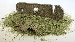  Kadınlar organik atıkları ürüne dönüştürecek