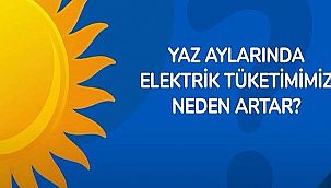 TÜKETİCİLER: 'Buzdolabı - Klima - TV ve diğerleri' ne kadar elektrik tüketir?