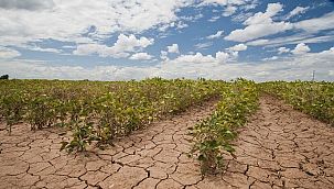 'Gıda ve tarımsal emtia fiyatlarındaki artışların oluşturduğu güçlü negatif arz şokları etkili olmaya devam ediyor'