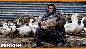 Kadın girişimcilerin ÜRÜNLERİNİ mağazalarda satışa sunuyor: MİGROS - KAGİDER işbirliği