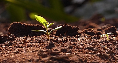 Biyolojik çeşitlilik iklimimiz - şifamız - gıdamız ve mirasımızdır!