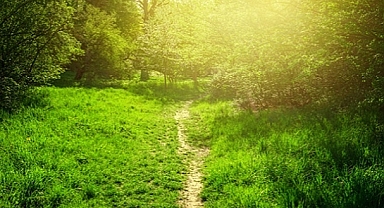 'Mavi İklim Yeşil Dünya Hareketi Tüketici Derneği' kuruldu!