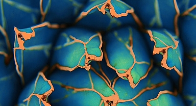 YENİ - Tüketiciler 'sürdürülebilir ürünleri' her geçen gün daha fazla arıyorlar!