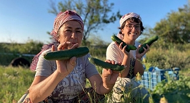 Buğday Derneği - Soframıza gelen zehirlerden 6’sı daha yasaklandı