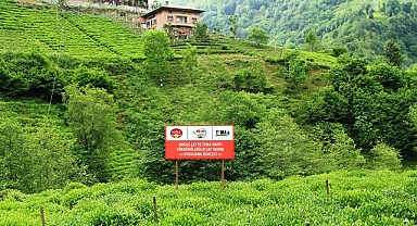 TEMA Vakfı ve Doğuş Çay işbirliğinde topraklar sağlığına kavuşuyor 