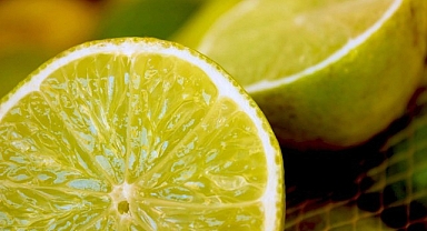 Limon rekor kırmaya devam ediyor!