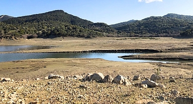 Buğday Derneği ''Kuraklık tehdidi karşısında kalıcı ..''
