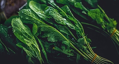 Dondurulmuş Gıdalar Pestisit Tehlikesine Karşı Güvenli mi?