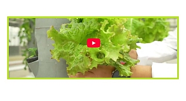 ''Yeni bitki ve gıda çeşitleri üzerine çalışıyor''