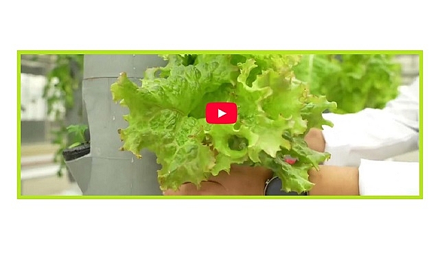 ''Yeni bitki ve gıda çeşitleri üzerine çalışıyor''