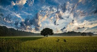 TBF - Önümüze bakıyoruz!